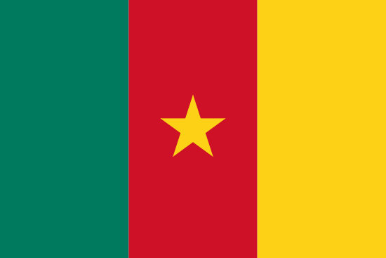 Cameroon Flag