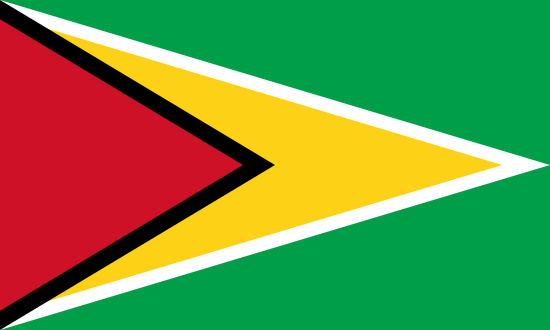 Guyana Flag