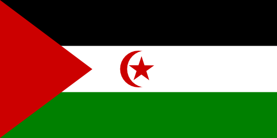 Western Shara Flag